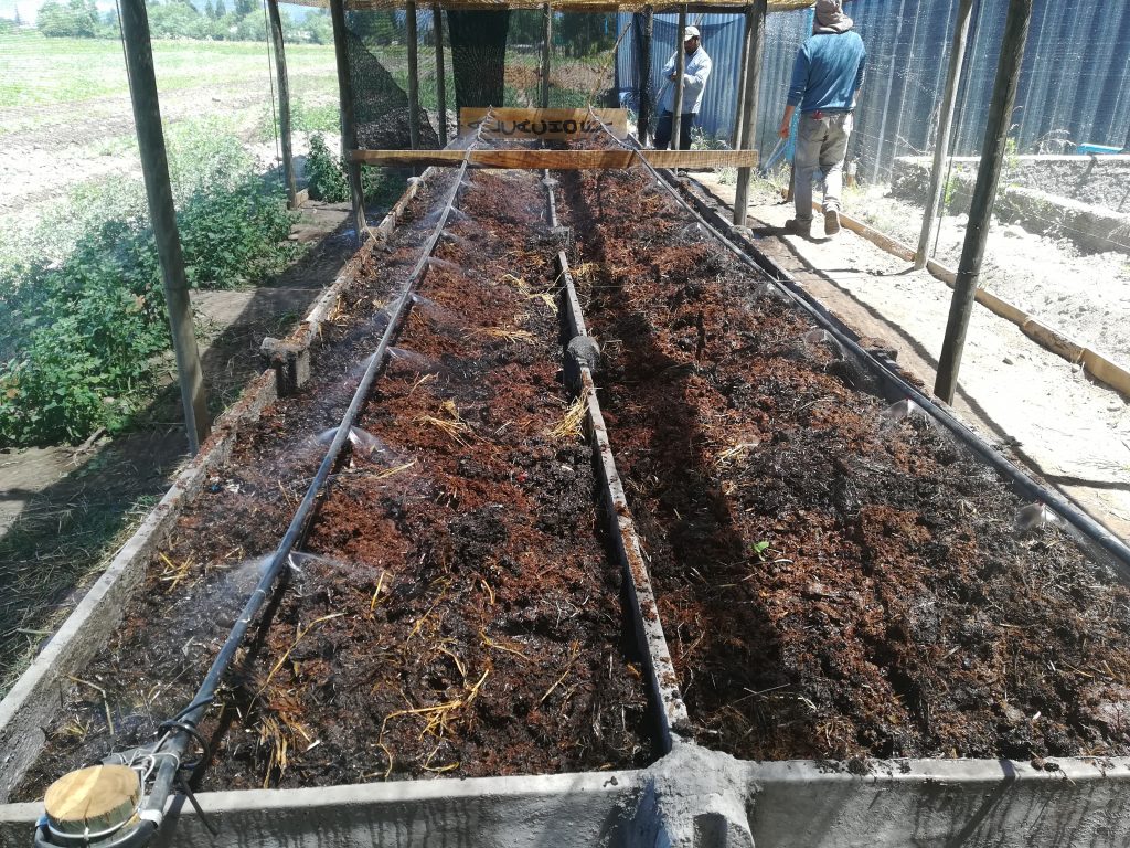 Imagen de Sistema 2